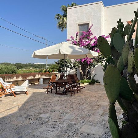 B&B Via Dei Trulli 奇斯泰尼诺 外观 照片
